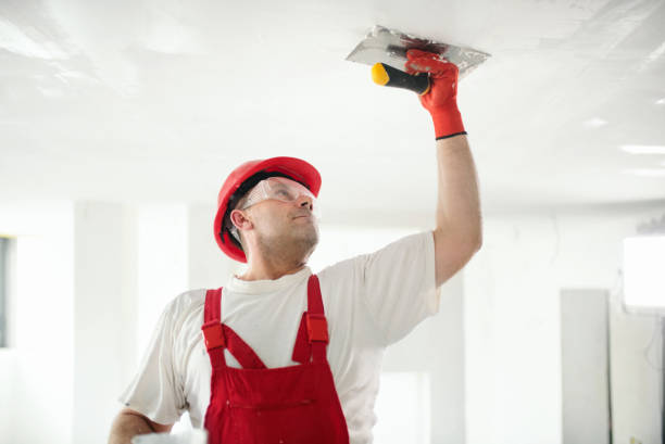  Harveys Lake, PA Mold Removal Pros