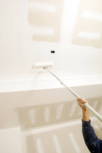 Harveys Lake, PA Mold Removal Company